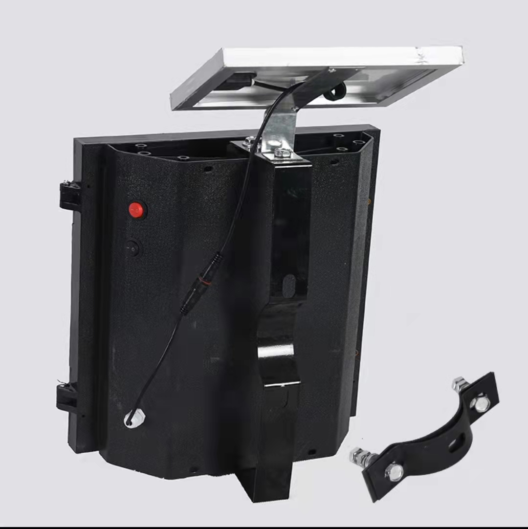 美女的隐藏部位是什么图片