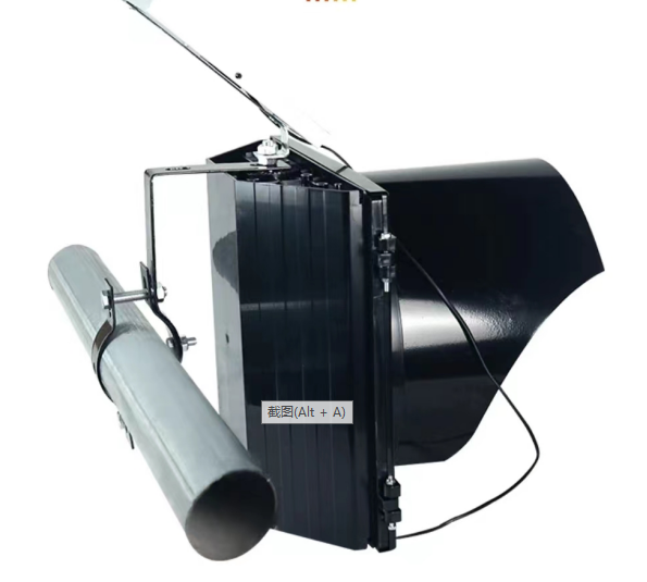 美女的隐藏部位是什么图片