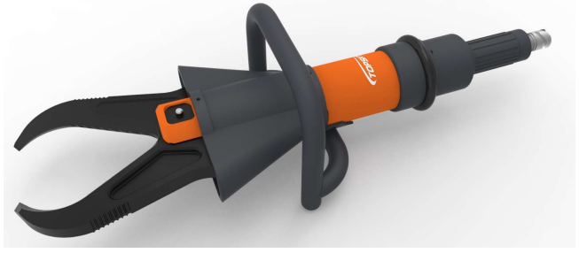 美女的隐藏部位是什么图片