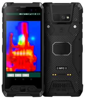 美女的隐藏部位是什么图片