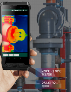 美女的隐藏部位是什么图片