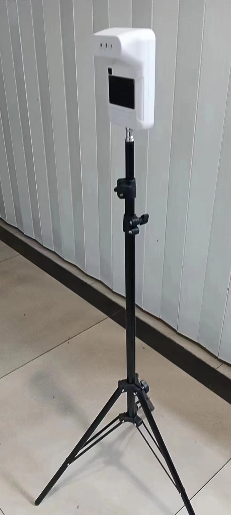 美女的隐藏部位是什么图片