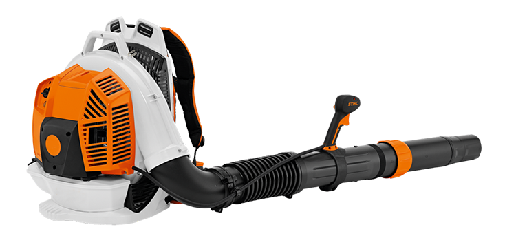 美女的隐藏部位是什么图片