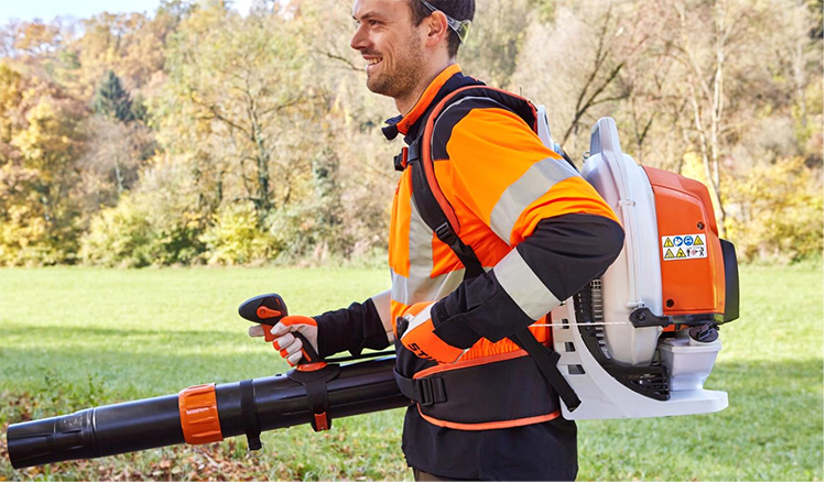 美女的隐藏部位是什么图片