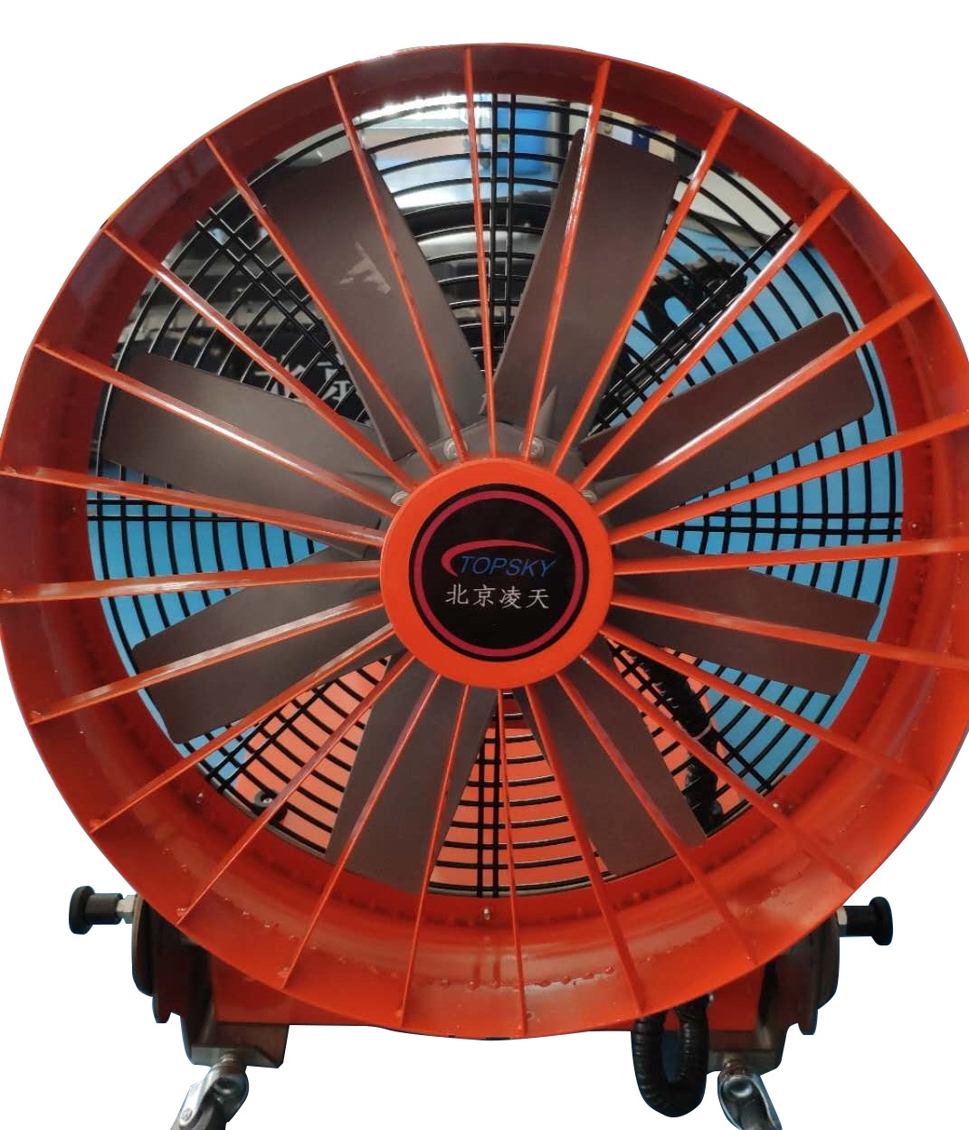 美女的隐藏部位是什么图片