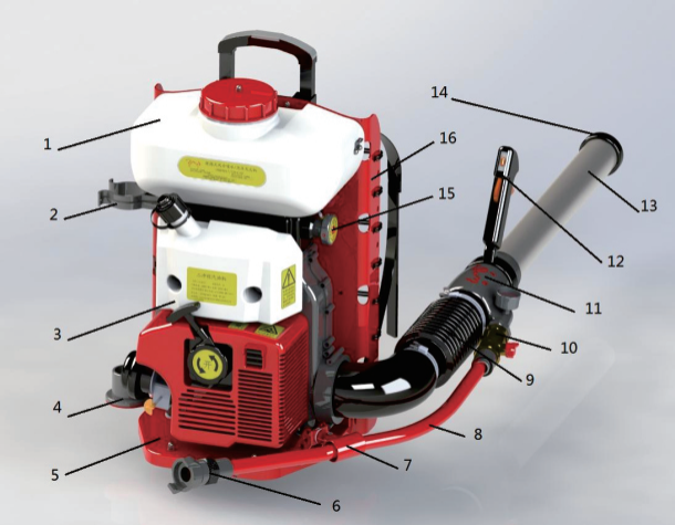 美女的隐藏部位是什么图片