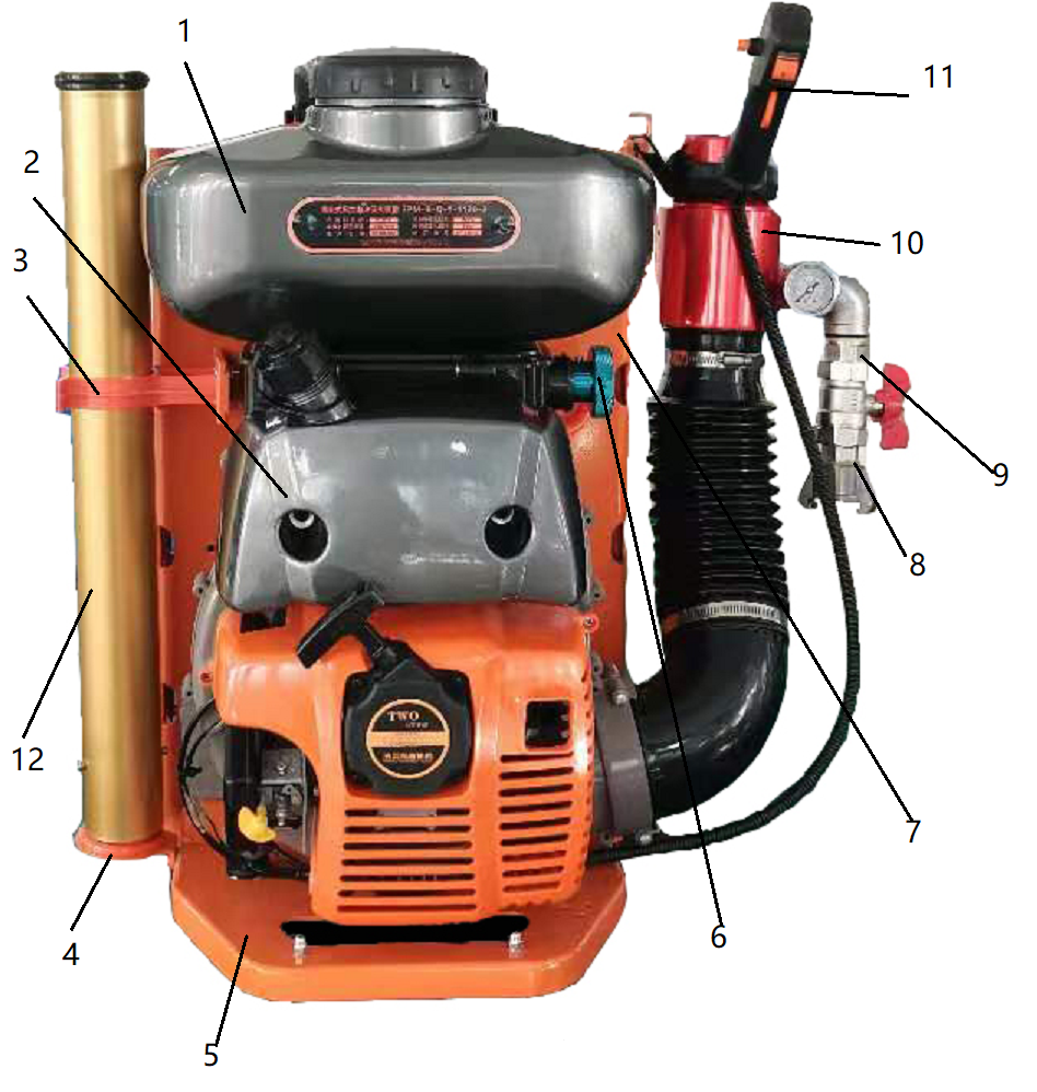 美女的隐藏部位是什么图片