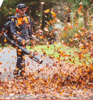 美女的隐藏部位是什么图片