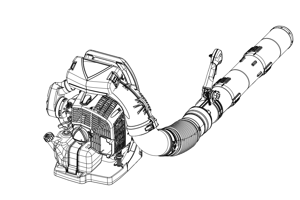 美女的隐藏部位是什么图片