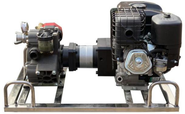 美女的隐藏部位是什么图片