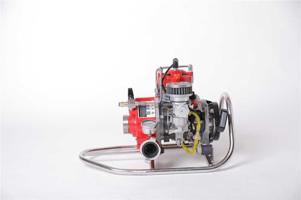 美女的隐藏部位是什么图片