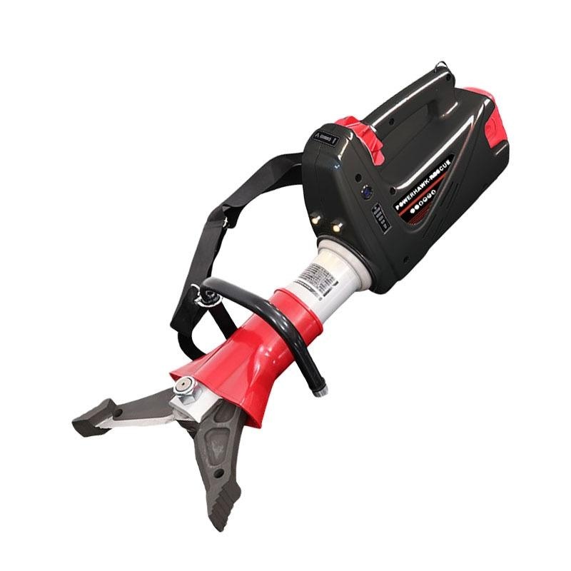 美女的隐藏部位是什么图片