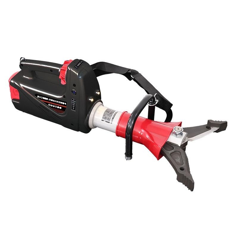 美女的隐藏部位是什么图片