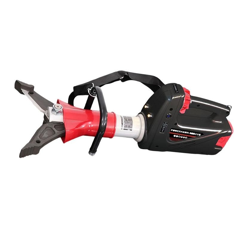 美女的隐藏部位是什么图片