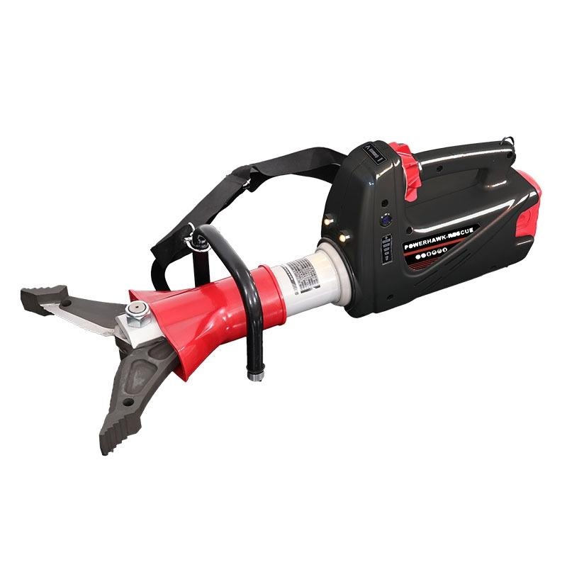 美女的隐藏部位是什么图片