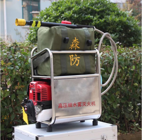 美女的隐藏部位是什么图片