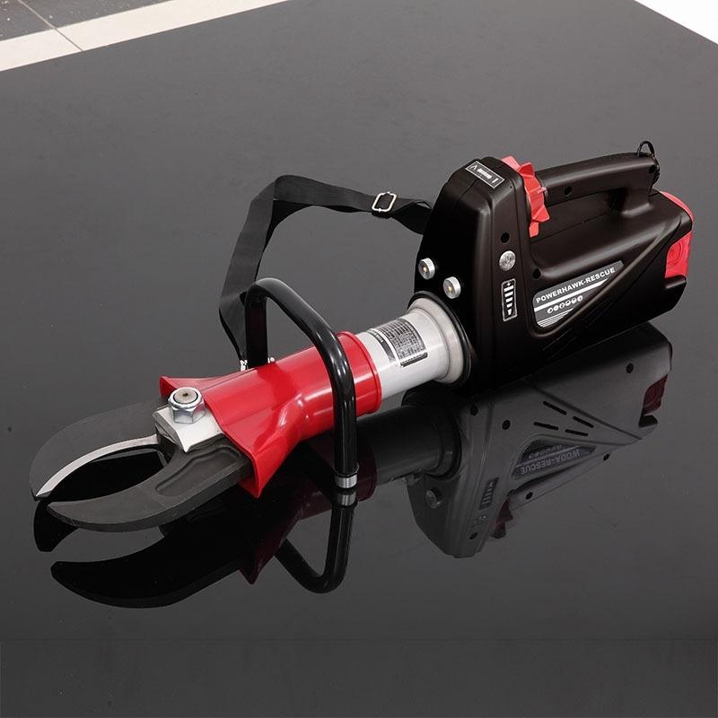 美女的隐藏部位是什么图片