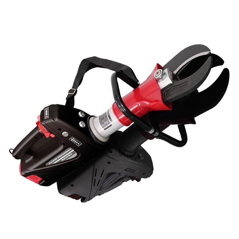 美女的隐藏部位是什么图片