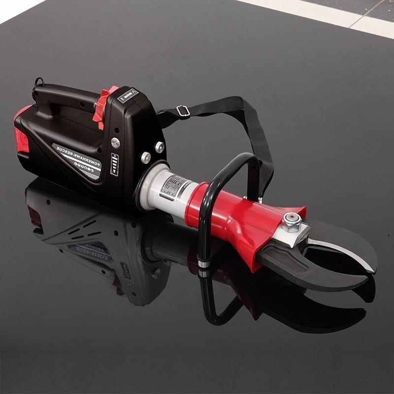 美女的隐藏部位是什么图片