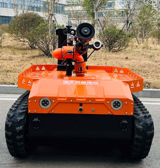 美女的隐藏部位是什么图片