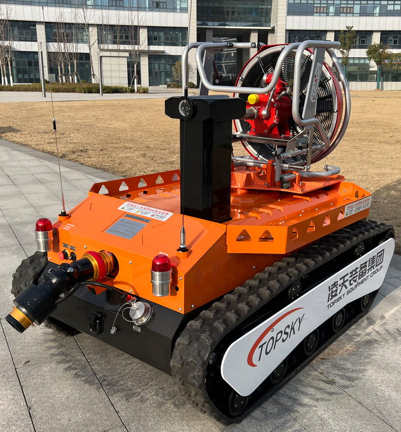 美女的隐藏部位是什么图片