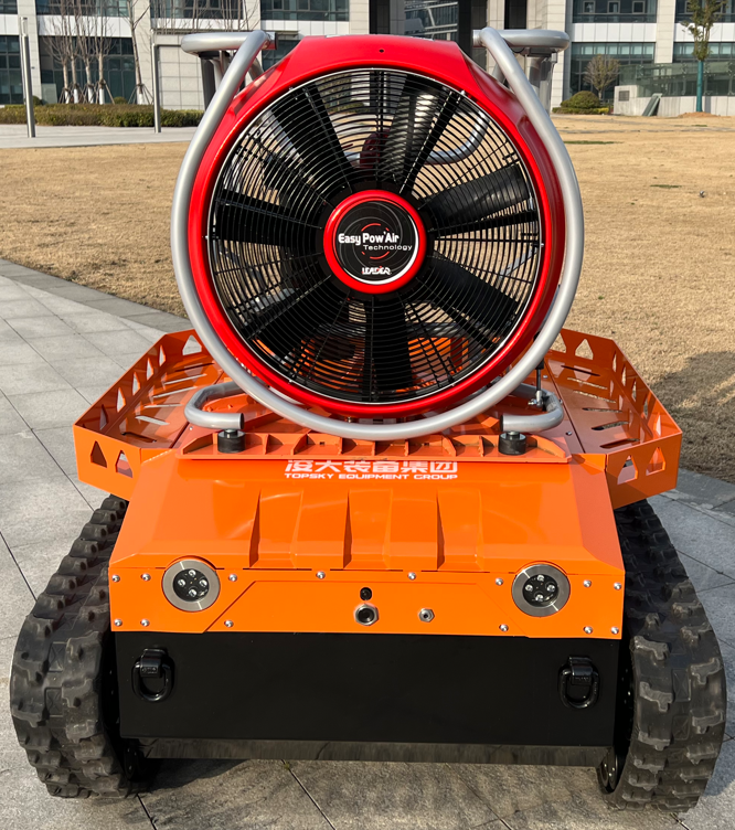 美女的隐藏部位是什么图片