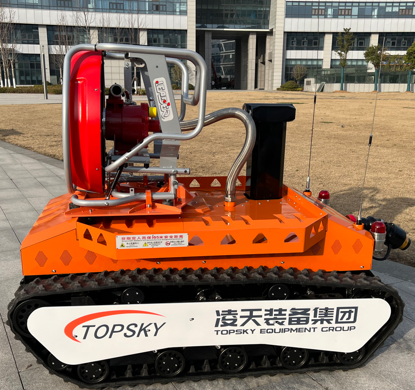 美女的隐藏部位是什么图片