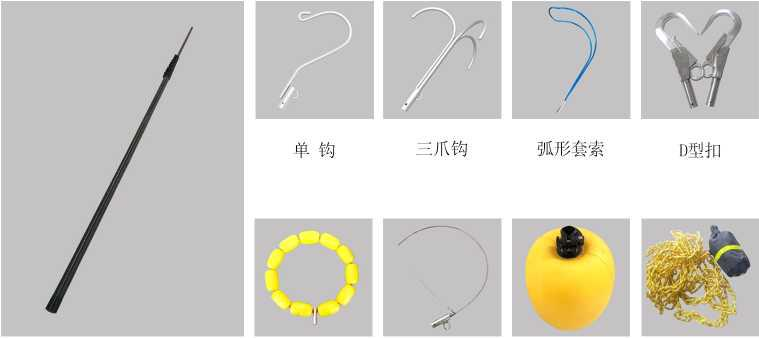 美女的隐藏部位是什么图片