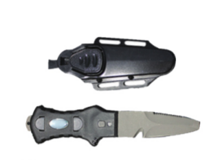 美女的隐藏部位是什么图片