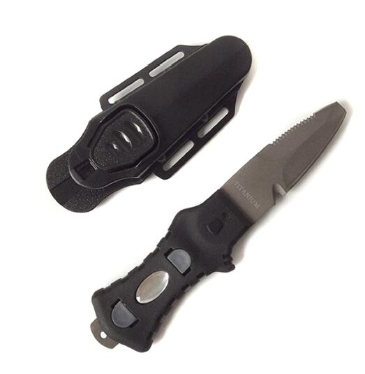 美女的隐藏部位是什么图片