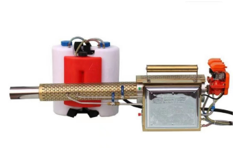 美女的隐藏部位是什么图片