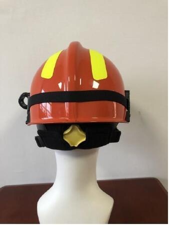 美女的隐藏部位是什么图片