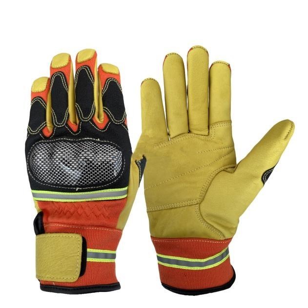 美女的隐藏部位是什么图片