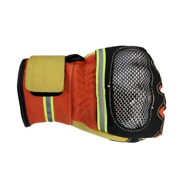 美女的隐藏部位是什么图片