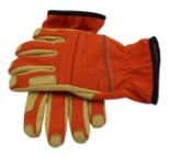 美女的隐藏部位是什么图片