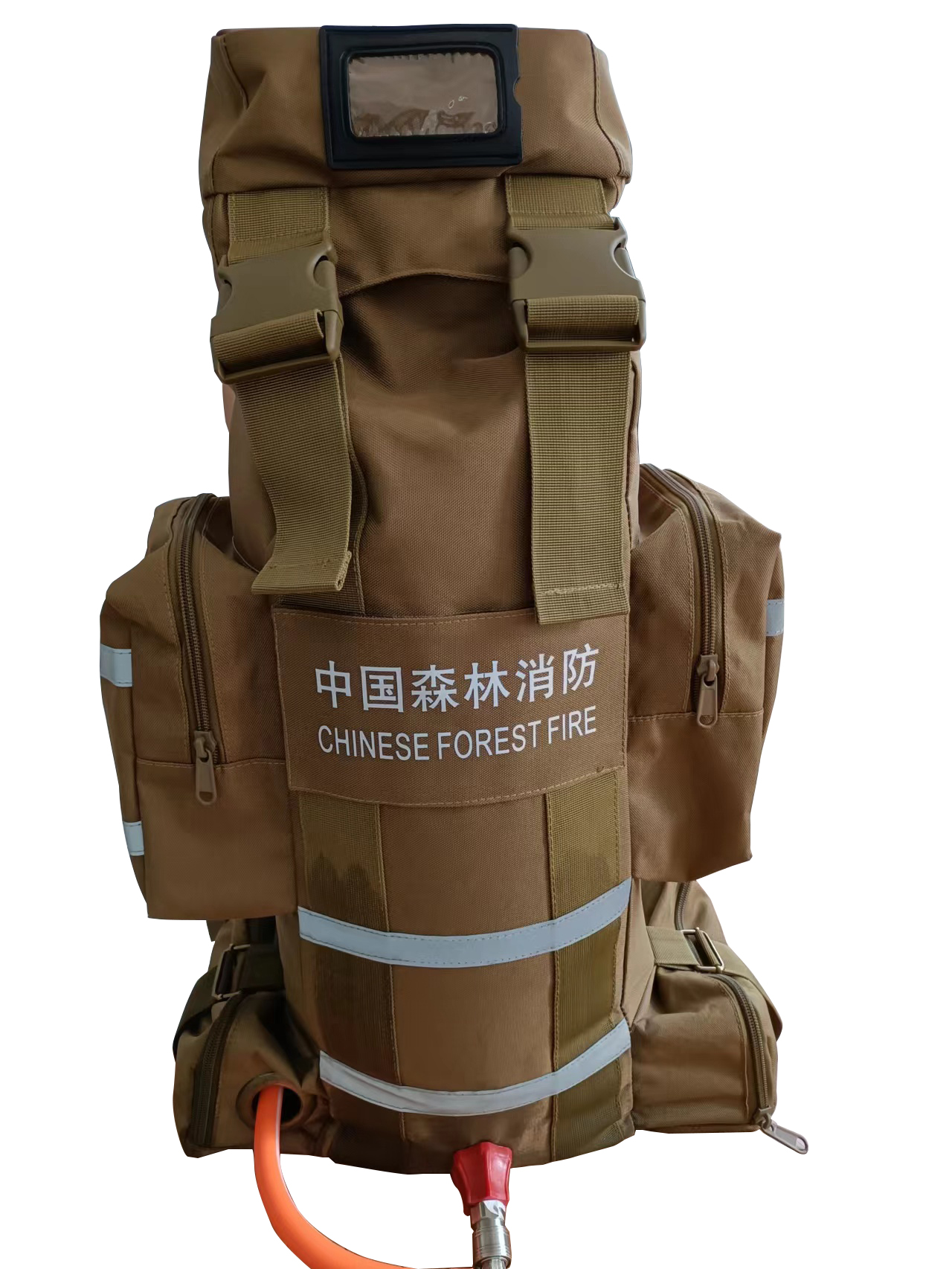 美女的隐藏部位是什么图片