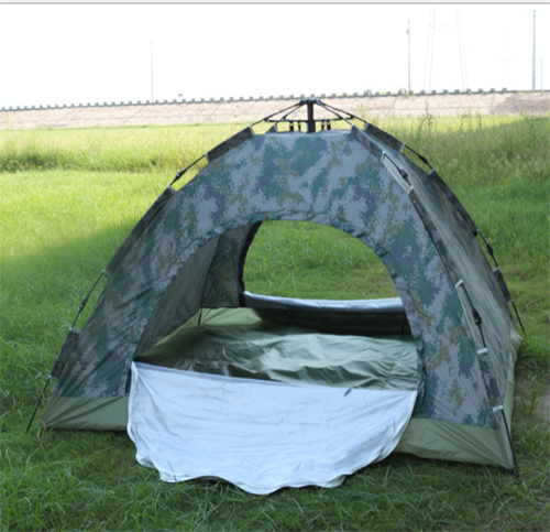 美女的隐藏部位是什么图片