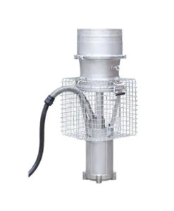 美女的隐藏部位是什么图片