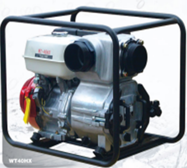 美女的隐藏部位是什么图片