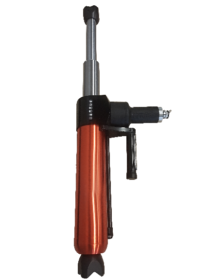 美女的隐藏部位是什么图片