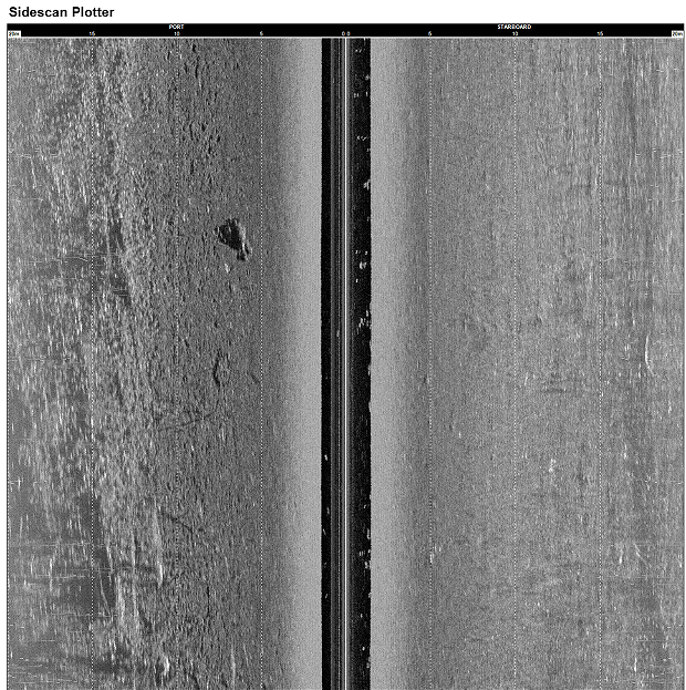 美女的隐藏部位是什么图片
