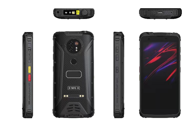 美女的隐藏部位是什么图片