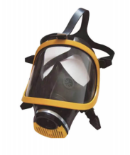 美女的隐藏部位是什么图片