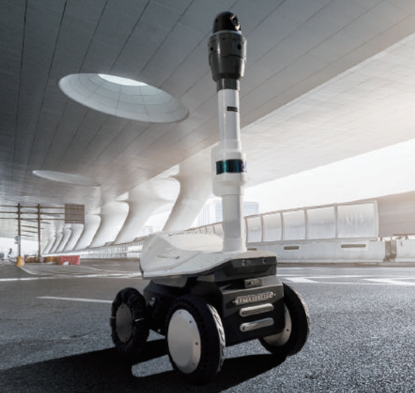 美女的隐藏部位是什么图片