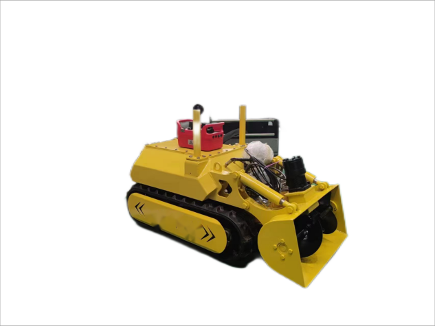 美女的隐藏部位是什么图片