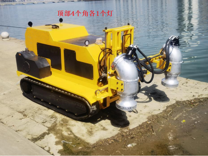 美女的隐藏部位是什么图片