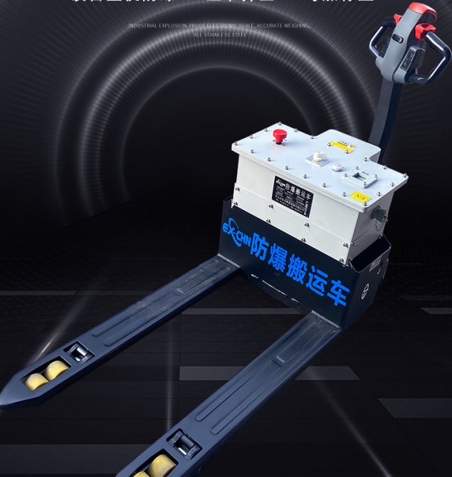 美女的隐藏部位是什么图片