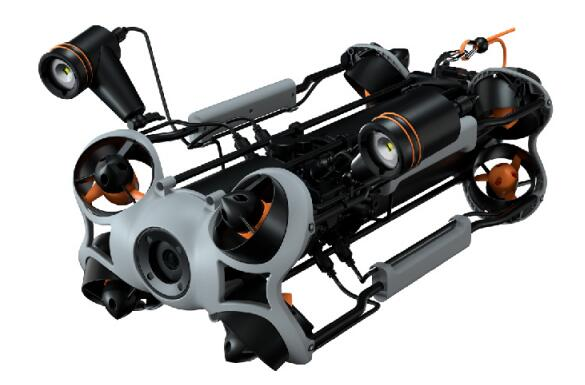 美女的隐藏部位是什么图片