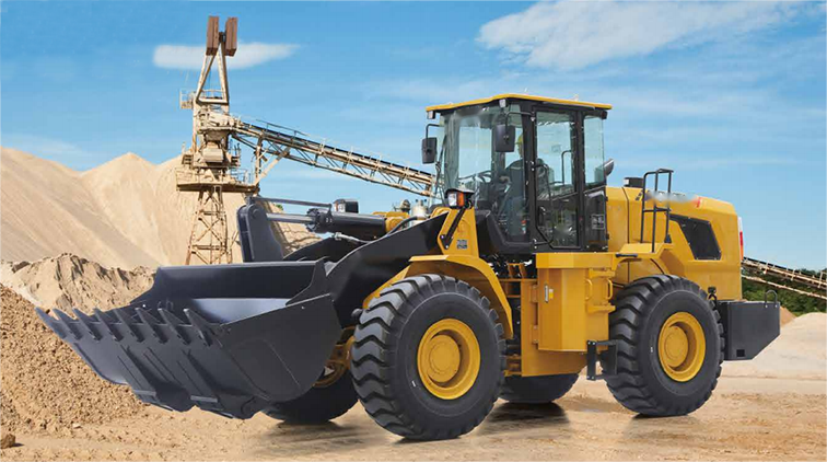 美女的隐藏部位是什么图片