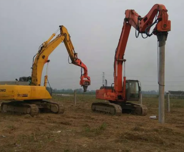 美女的隐藏部位是什么图片